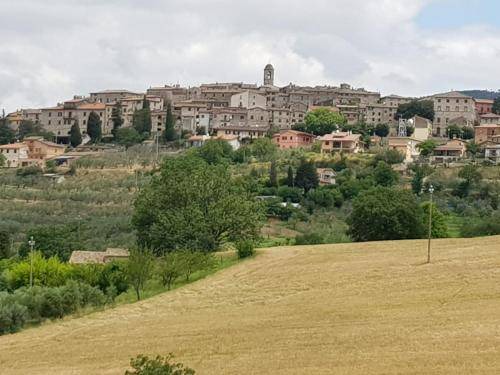 Montecchio Bed & Breakfast | 19 m² Bed and breakfast ∙ 4 guests