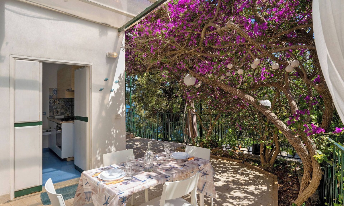 Erchie House | 2 holiday apartments 'Blue Green Apartments Amalfi Coast' with Sea View, Wifi, and Air Conditioning