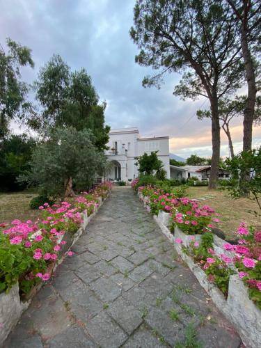 Torre del Greco Bed & Breakfast | 20 m² Bed and breakfast ∙ 3 guests