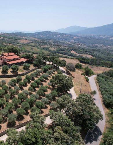 Altavilla Silentina Bed & Breakfast | 35 m² Bed and breakfast ∙ 5 guests