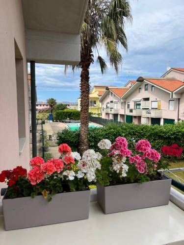 Marina di Montenero Apartment | 45 m² Apartment ∙ 1 bedroom ∙ 4 guests