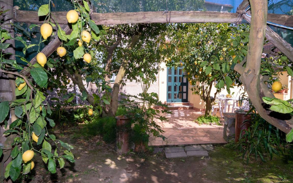 Massa Lubrense Apartment | 65 m² Apartment ∙ 1 bedroom ∙ 4 guests