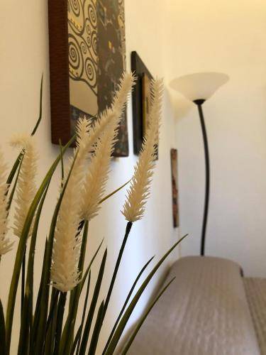 Tora e Piccilli Bed & Breakfast | 70 m² Bed and breakfast ∙ 3 guests