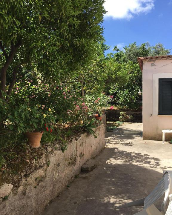 Ischia Porto Apartment | Al Giardino
