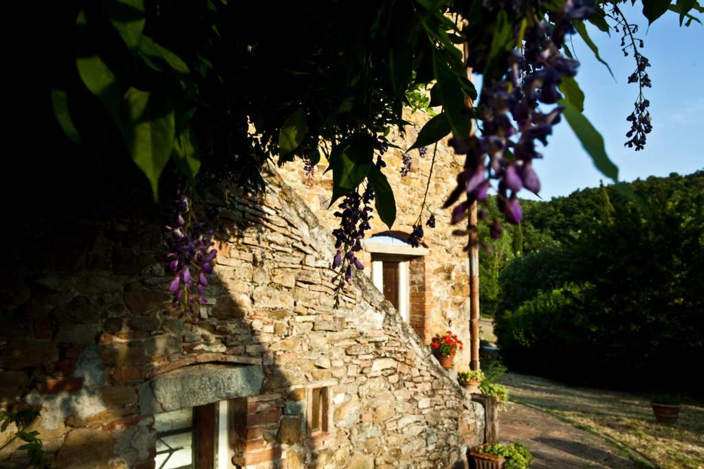 Collesanto House | Antico Giuncheto