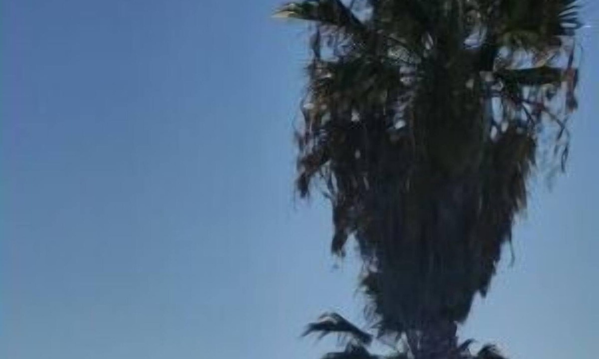 Porto Salvo Apartment | Apartment melito porto salvo calabria