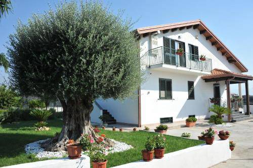 Santa Maria la Carita Bed & Breakfast | Bed and breakfast ∙ 6 guests