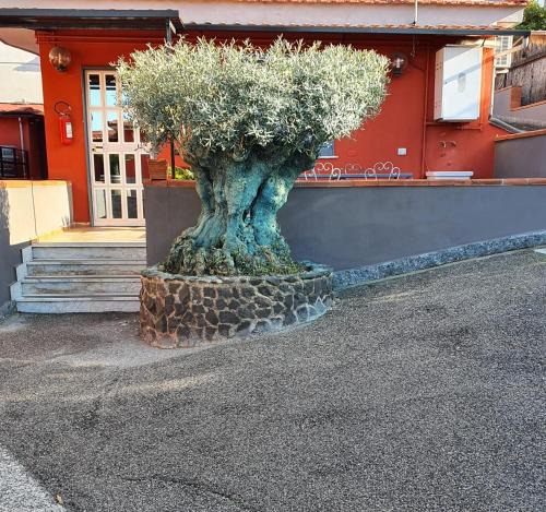 Ercolano Bed & Breakfast | Bed & Breakfast Neapolis