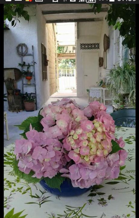 San Martino Valle Caudina House | Campanino68