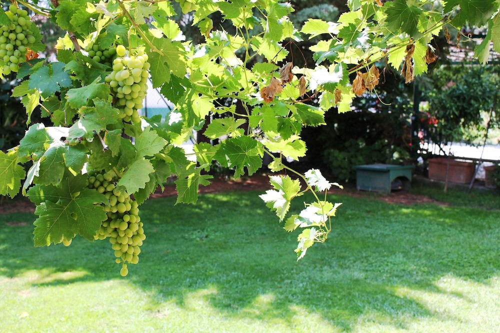 Venafro Hotel | Casa BlueLive