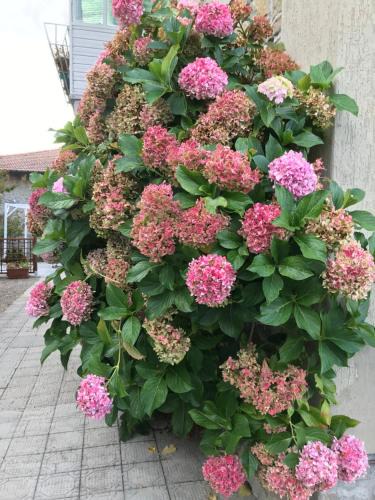Chiusi della Verna House | Casa Ortensia