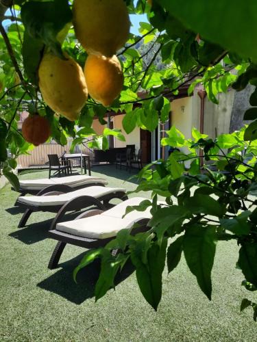Pucara House | Casa Rosanna