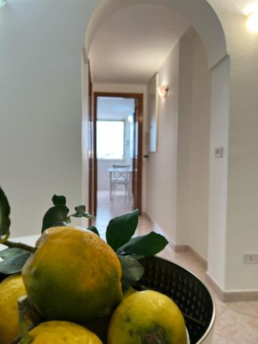 Procida House | Casamilla
