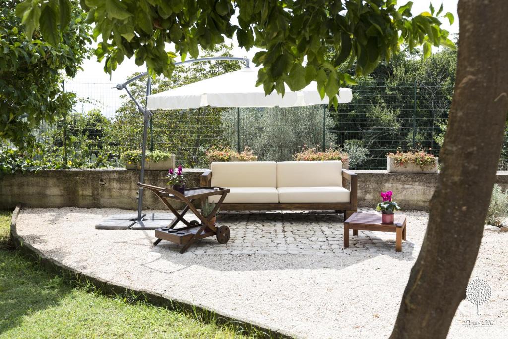 Caserta Bed & Breakfast | Domus Citri