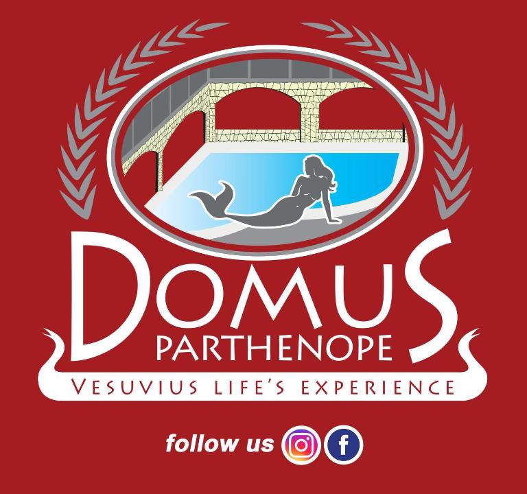 Mount Vesuvius - Pompei Apartment | Domus Parthenope