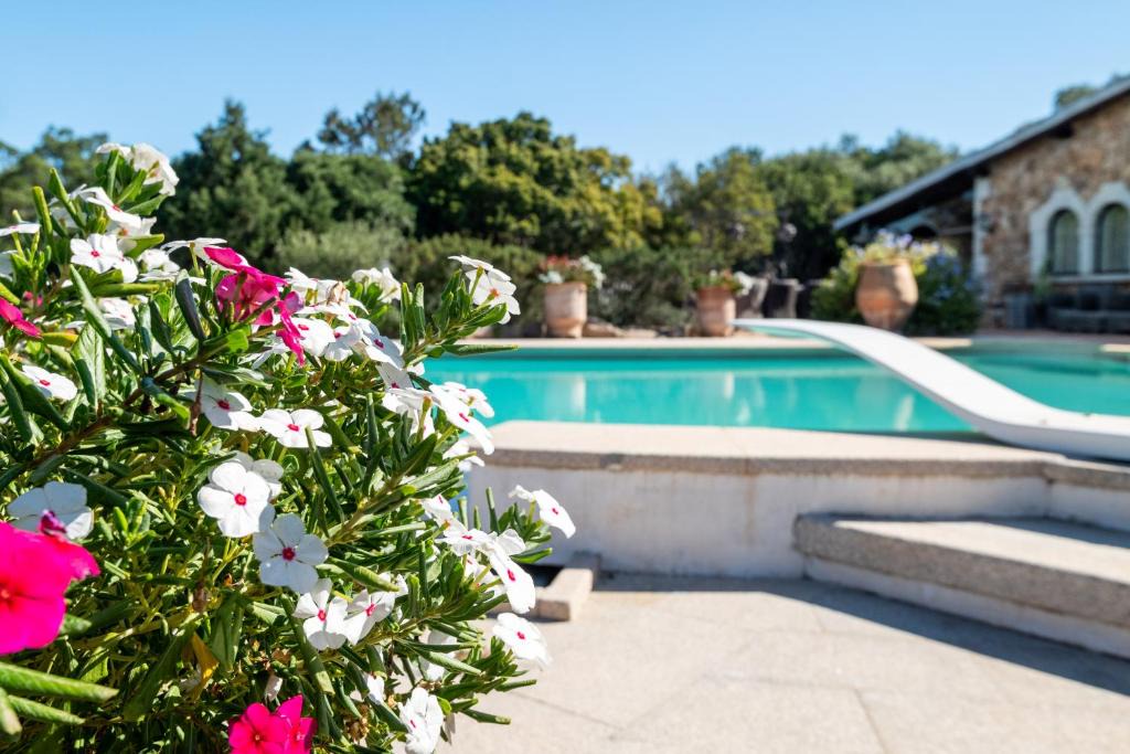Porto Rotondo Villa | Esclusiva Villa con piscina