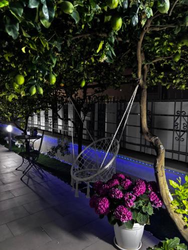 Sant'Antonio Abate House | Etherea Guest House