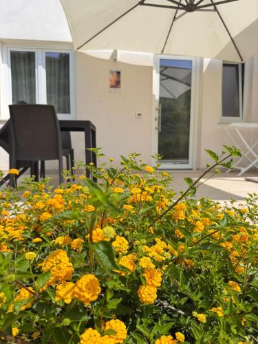 Drapia Bed & Breakfast | Galaxy Rooms Tropea