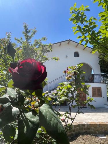 Alanno House | GArt House Holiday Home