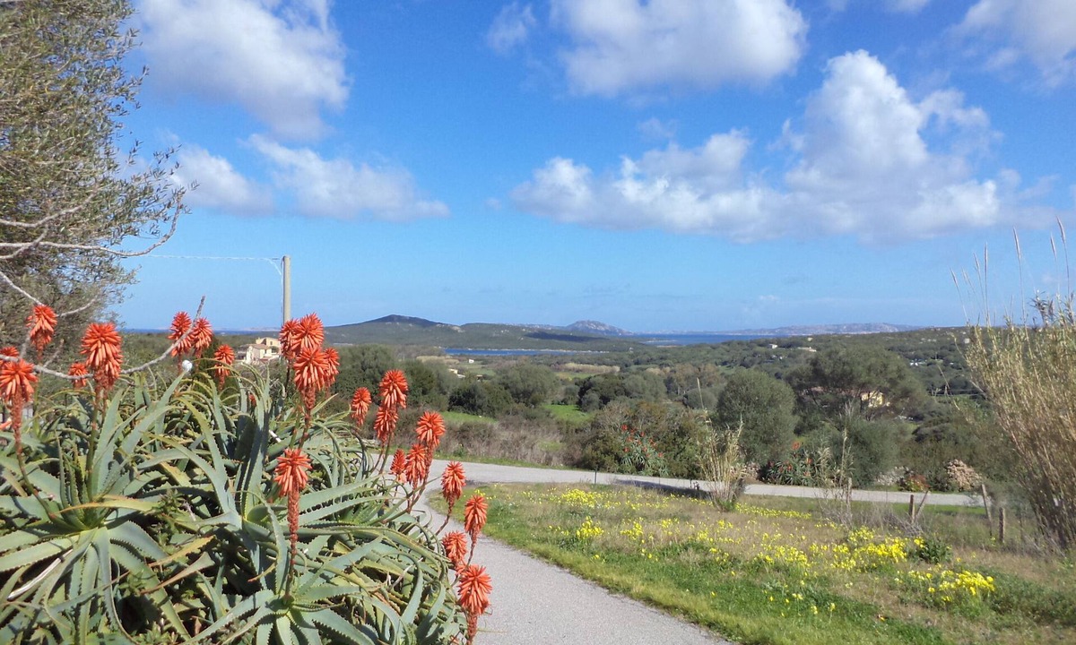 Santa Teresa di Gallura Villa | Giovan Marco house with sea view