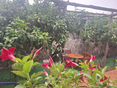 Sant'Agnello Apartment | Grazia's Home
