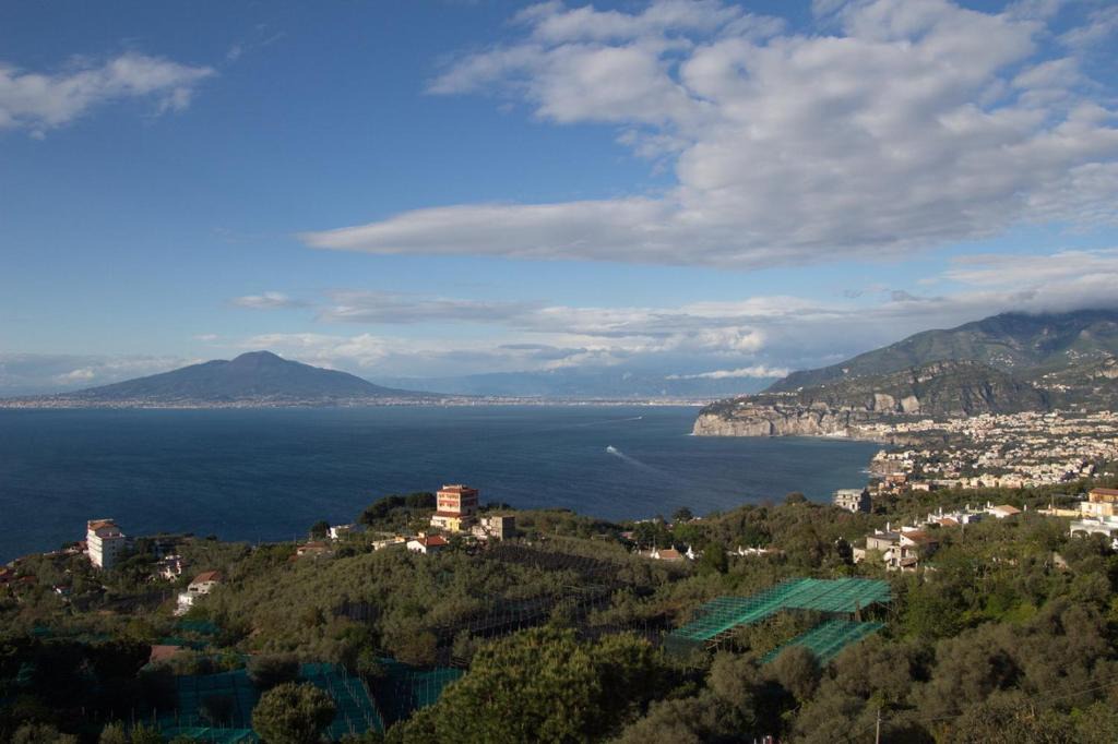 Priora Hotel | Hotel Il Nido Sorrento