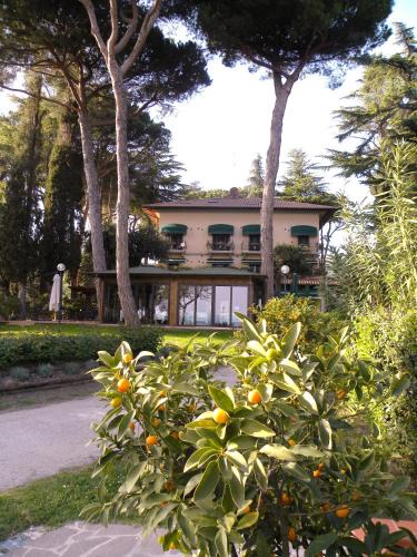 Passignano sul Trasimeno Hotel | Hotel Kursaal