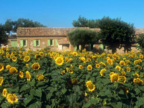 Brattiro Bed & Breakfast | Il Canto di Kokopelli Country Houses