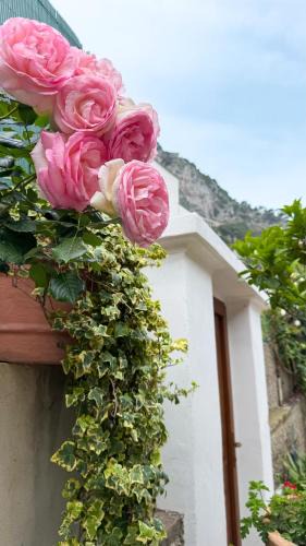 Marina Grande Bed & Breakfast | Il Cigno B&B