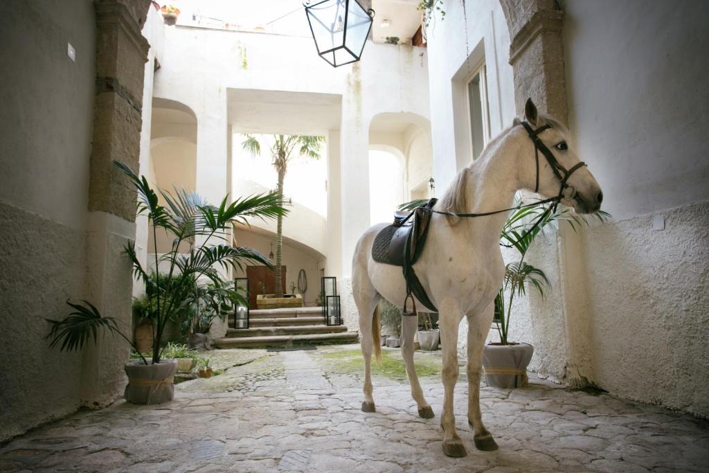 Tropea Apartment | IL Marchese Del Grillo