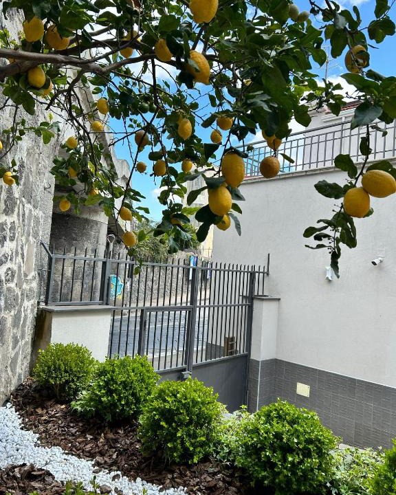 Sant'Anastasia Bed & Breakfast | Il Ponte a Vapore Guest House