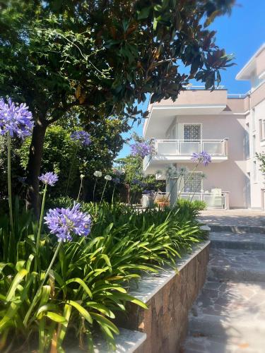Torre del Greco Bed & Breakfast | La Ginestra