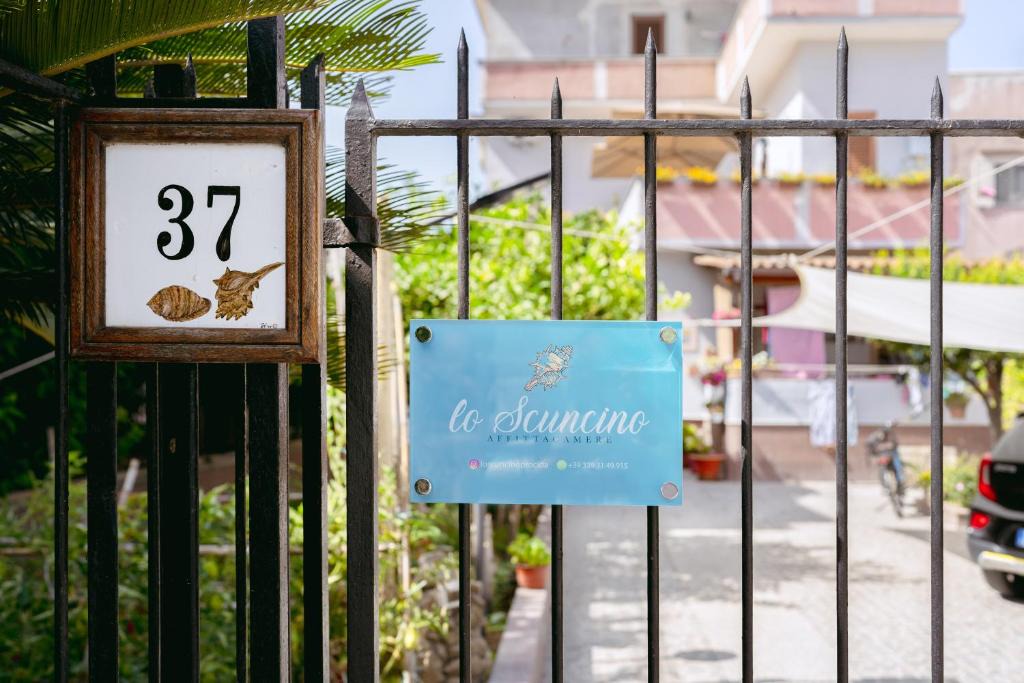 Procida House | Lo Scuncino