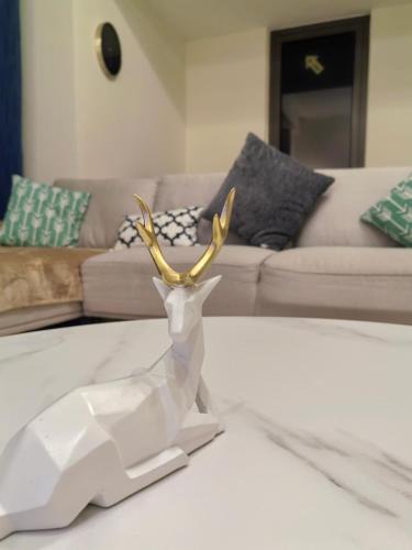 Dubai Marina Hostel | New Horizon JBR