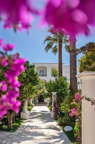 Capri Hotel | Pazziella Garden & Suites