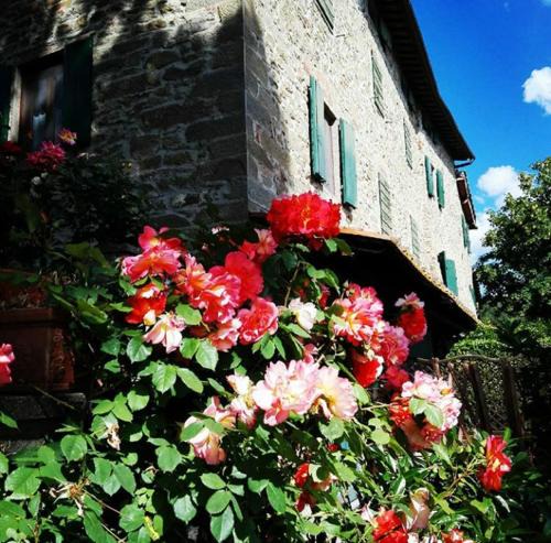Reggello House | Podere I Rovai-apt IL RIFUGIO- in the heart of Tuscany