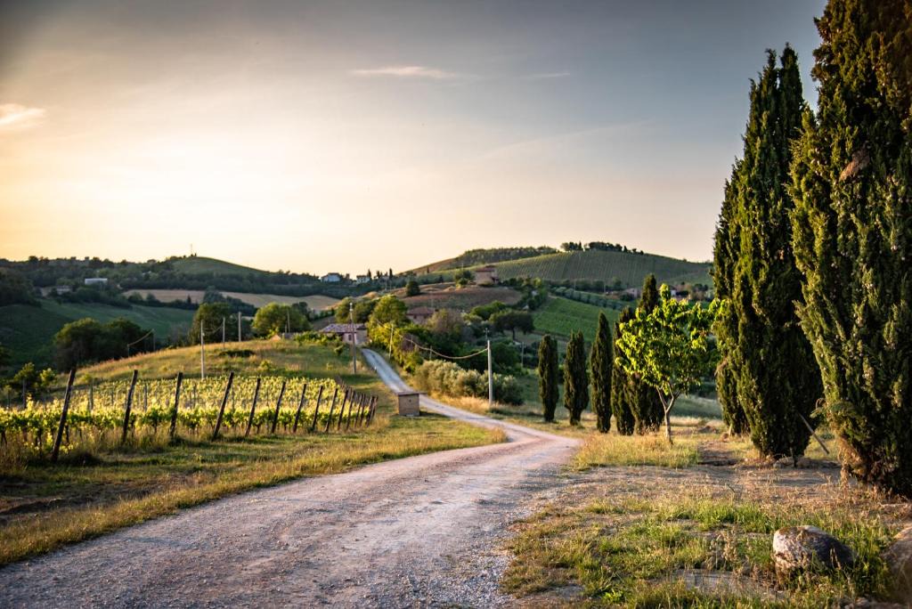Montalto delle Marche House | Recchi Franceschini Bike Hotel LAST - MINUTE - AVAILABILITY