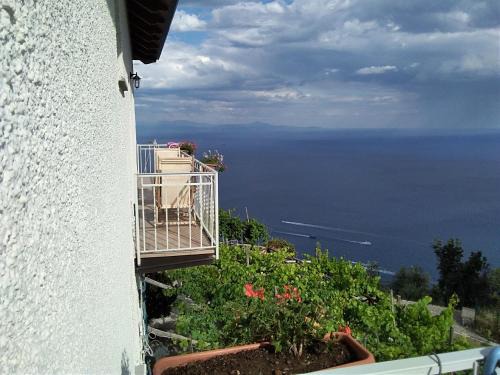 Furore Apartment | Residence Pizzo Corvo
