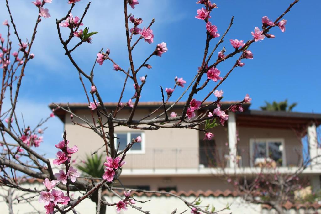Briatico Bed & Breakfast | Residenza Anna Calabria