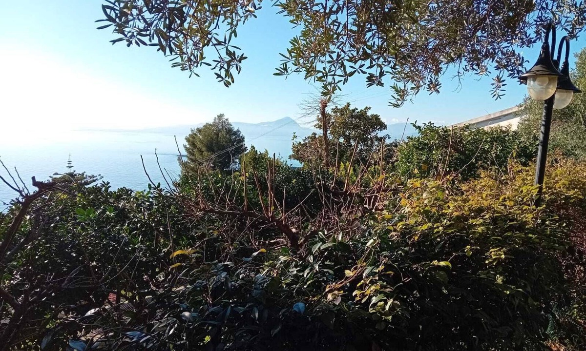 Marina di Maratea Apartment | Studio apartment surrounded by greenery in Marina di Maratea