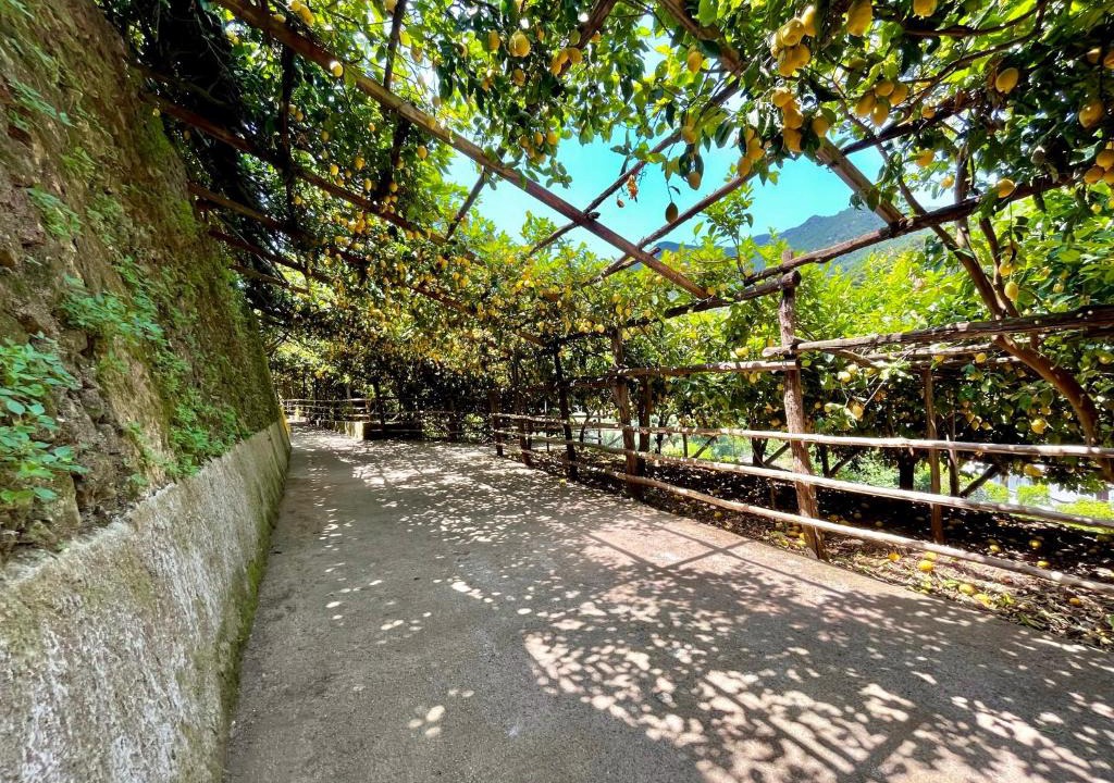 Pucara Apartment | Tenuta Donna Giovanna