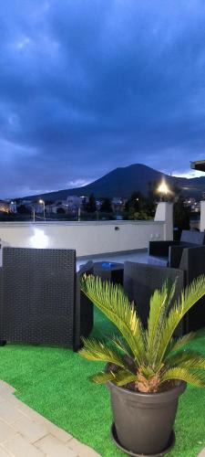 Mount Vesuvius - Pompei House | Vesuvius Dream