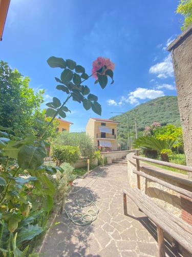 Moschiano Villa | Villa Angela