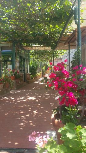 Capri Bed & Breakfast | Villa dei fiori B&B