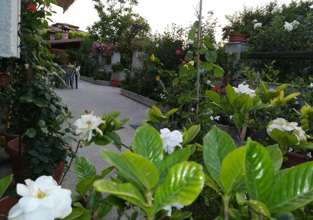 Bova Marina Bed & Breakfast | Villa delle rose