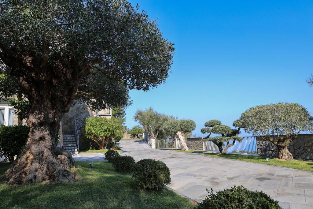 Termini Villa | Villa Italia Sorrento