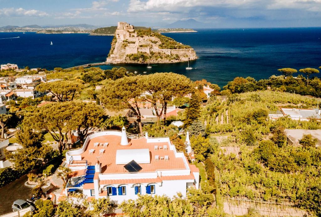 Ischia Porto House | Villa Livia