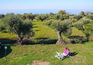 1 bedroom accommodation in ZAMBRONE