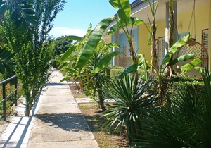 50 m² Apartment ∙ 2 bedrooms ∙ 5 guests