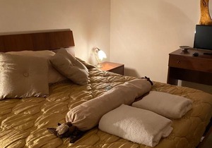 Alle antiche mura